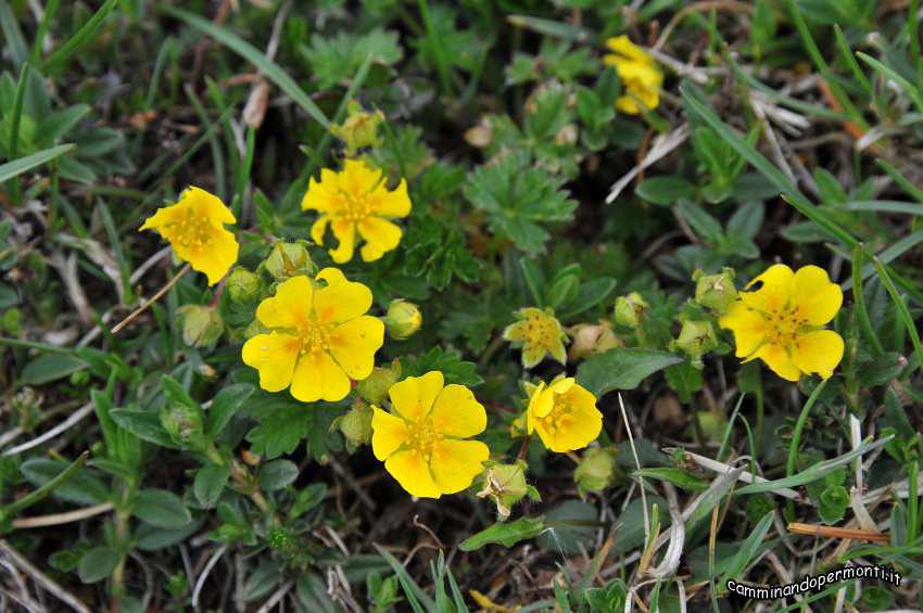 086 Periplo del Grem.JPG